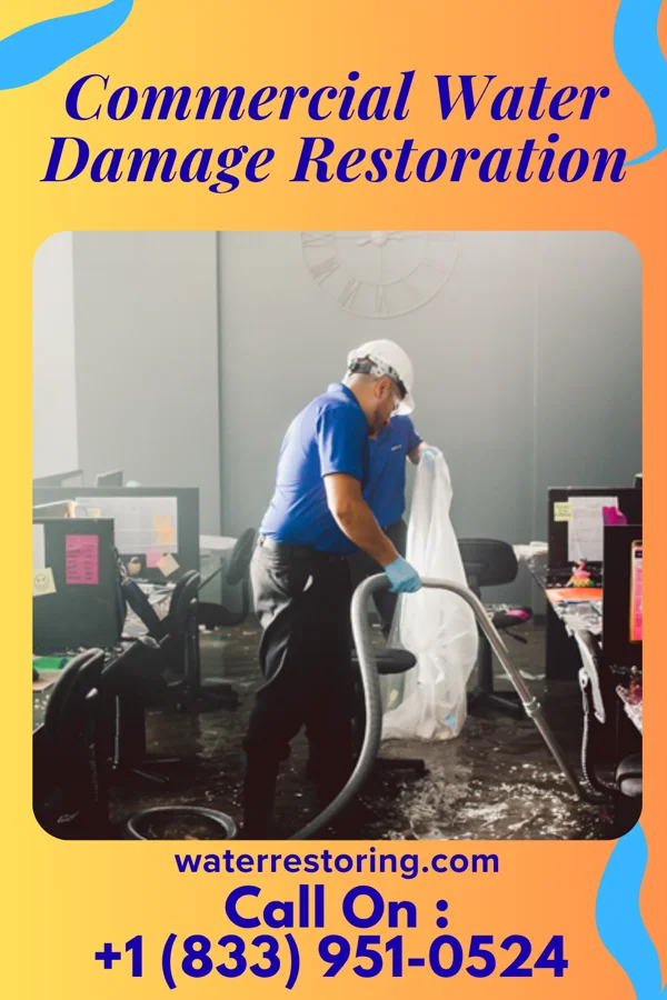 Commercial Water Damage Restoration in Loretto, MN